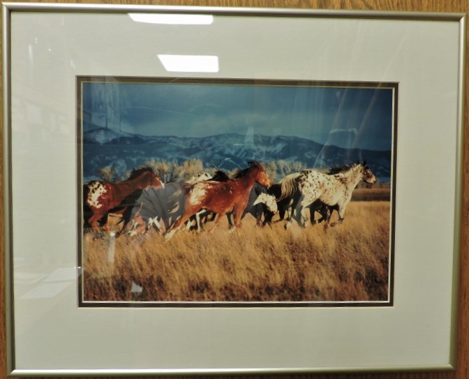 Wild Horses and Thunderstorm