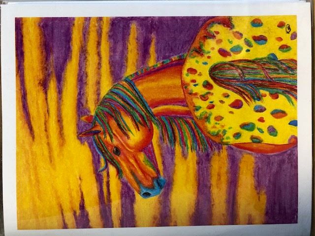 Appaloosa Cards Colorful Spots