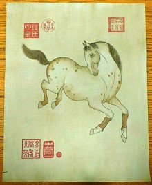 Asian-Style Appaloosa Portrait