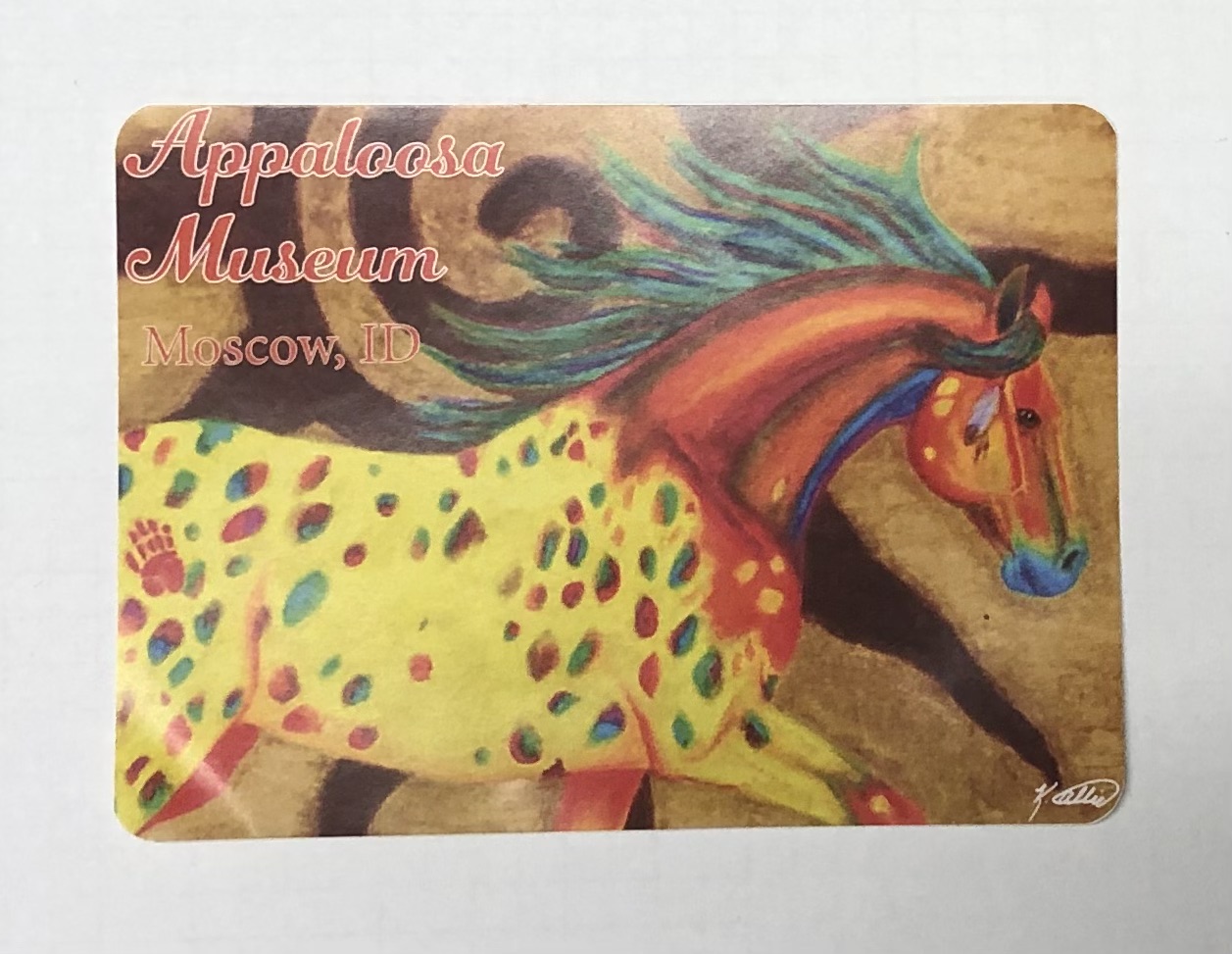Appaloosa Museum Sticker Colorful Running 