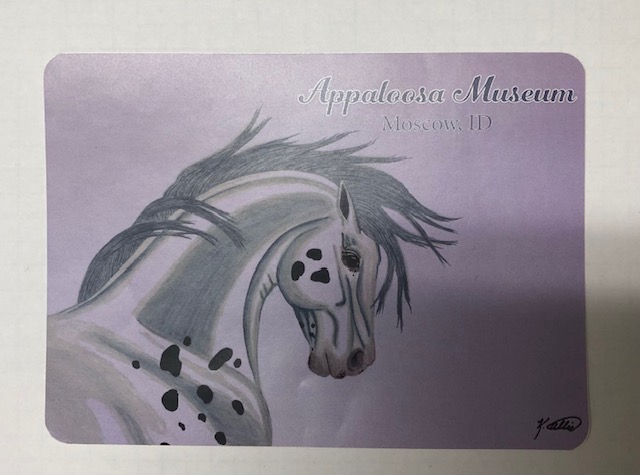 Appaloosa Museum Sticker White